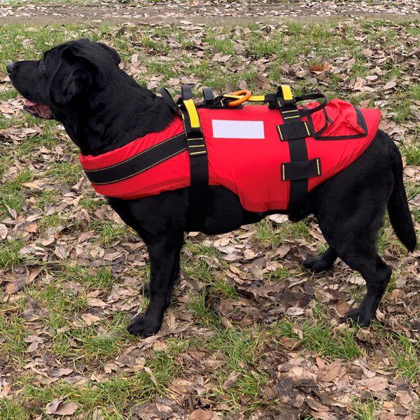 Kong DELPHINUS Dog Life Jacket