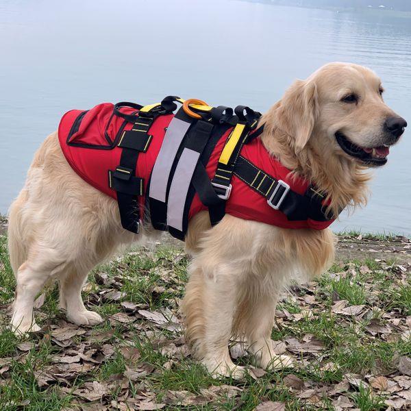 Kong DELPHINUS Dog Life Jacket