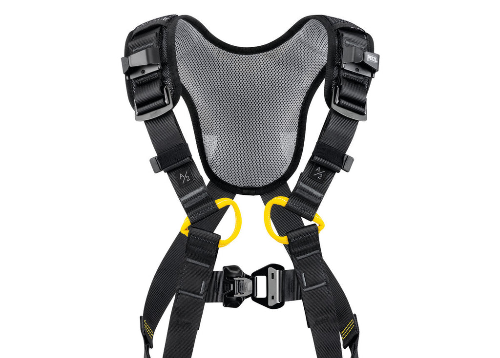 Petzl NEWTON FAST International Version