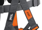 Petzl SWAN®EASYFIT STEEL