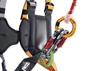 Petzl SIMBA CLIMBING