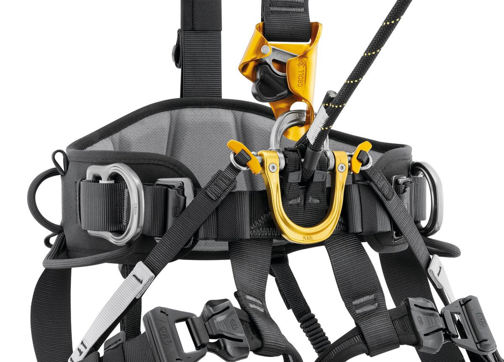 Petzl ASTRO International Version
