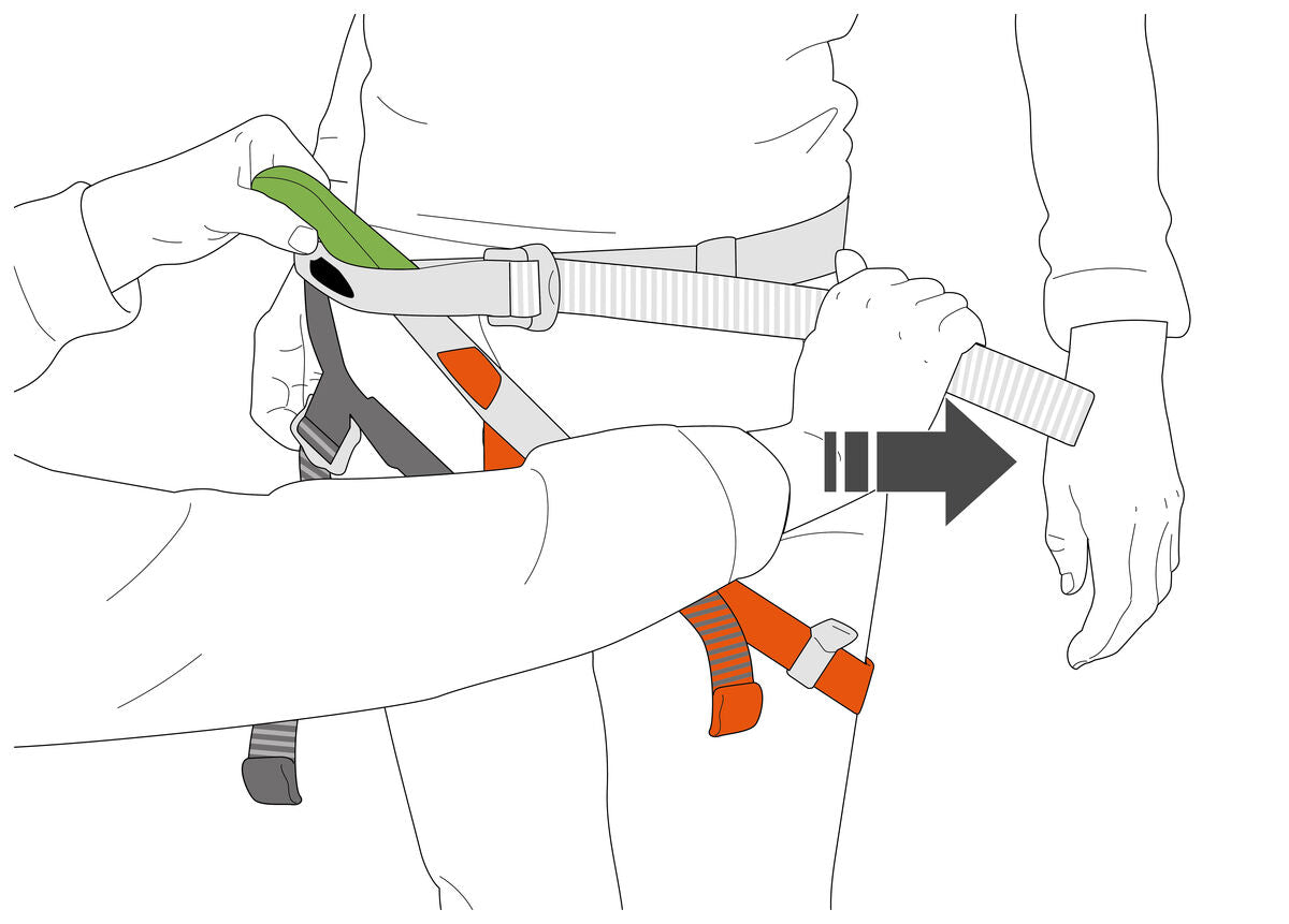 Petzl PANDION STEEL
