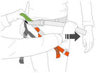 Petzl PANDION STEEL LT