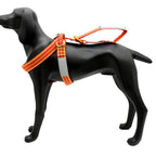 Alp Design Lait - RopesGear.com