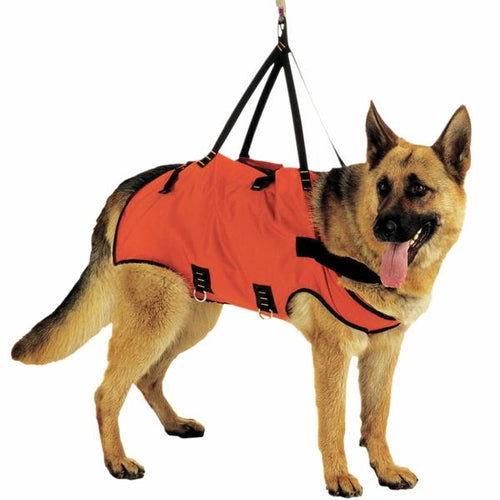 Alp Design Taxi - RopesGear.com