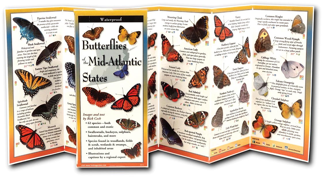 Butterflies Mid Atlan Guide - RopesGear.com