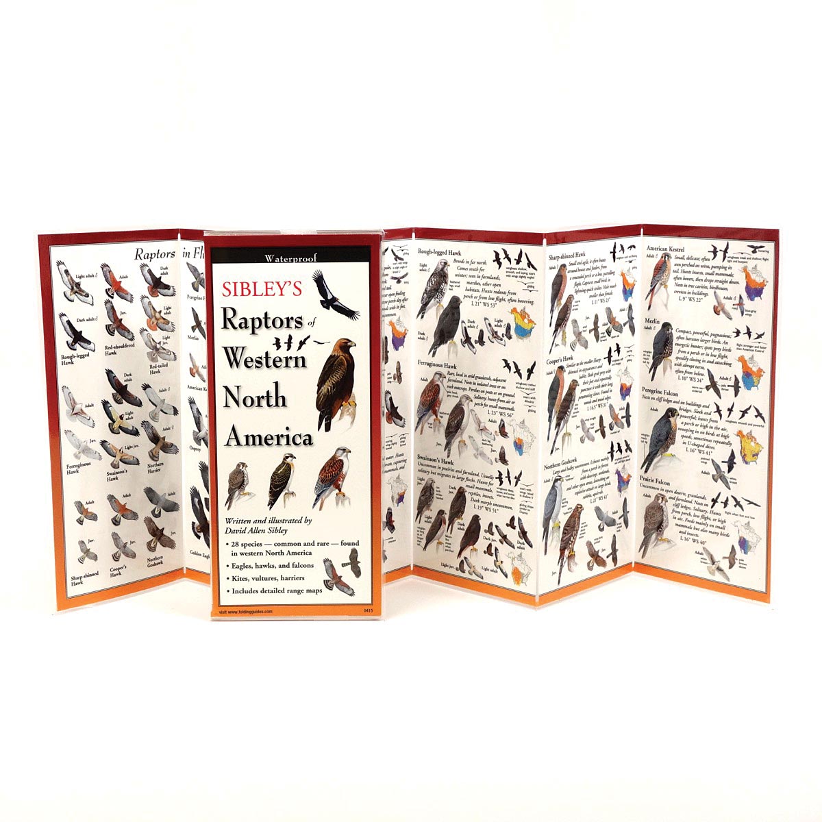 Butterflies Midwest Guide - RopesGear.com