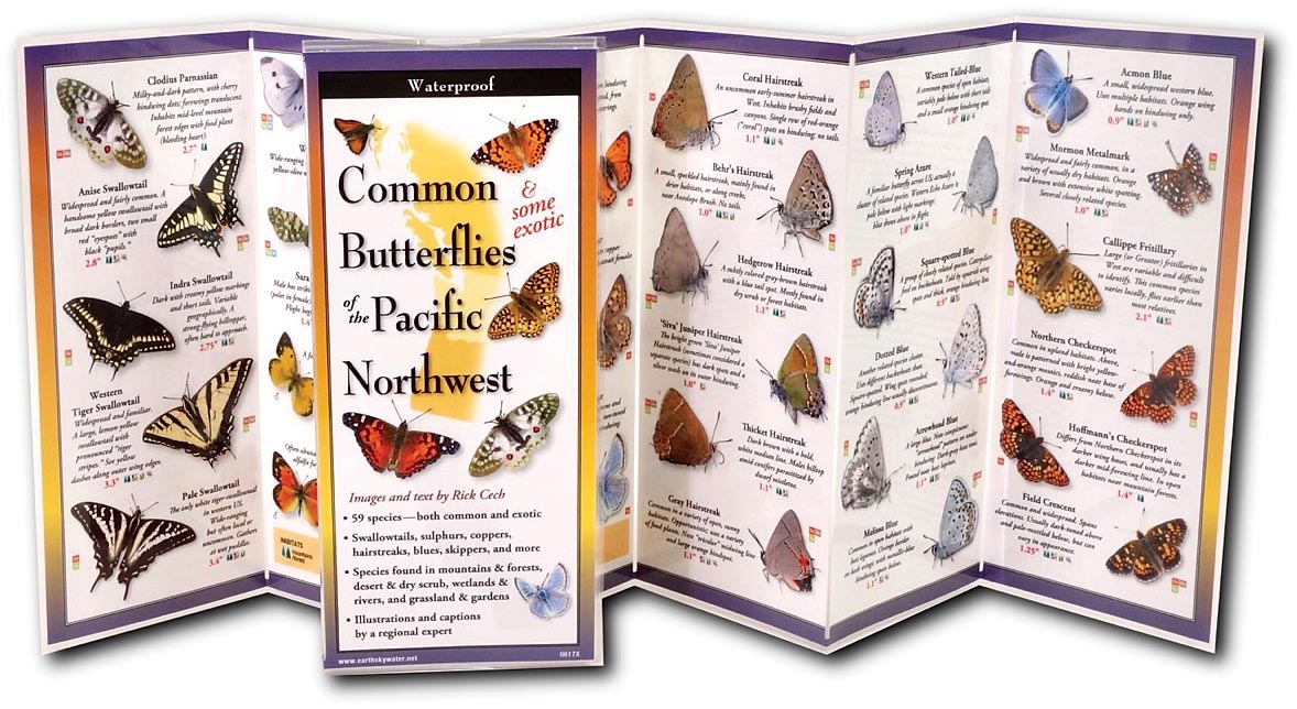 Butterflies Northwest Guide - RopesGear.com
