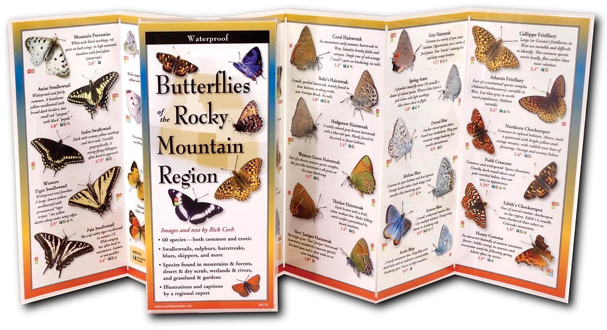 Butterflies Rockies Guide - RopesGear.com
