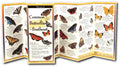 Butterflies Southeast Guide - RopesGear.com