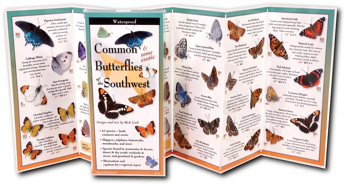 Butterflies Southwest Guide - RopesGear.com