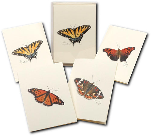 Butterfly Notecards - RopesGear.com