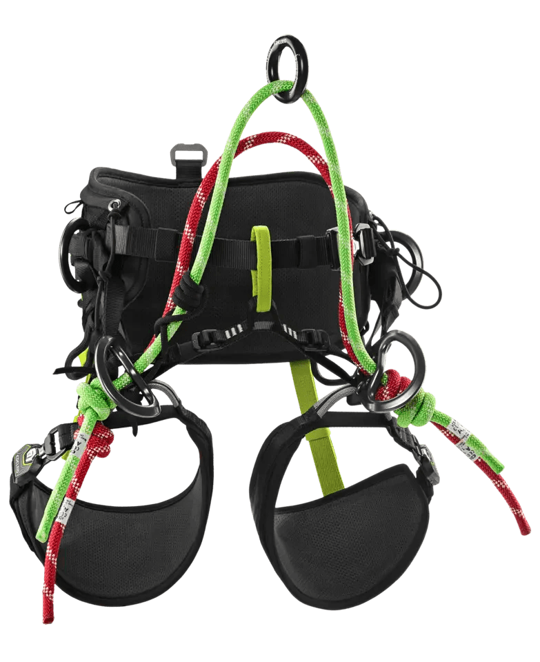 Edelrid Treerex II Arborist Harness - RopesGear.com