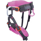 Edelweiss Sword Kids Harness - RopesGear.com