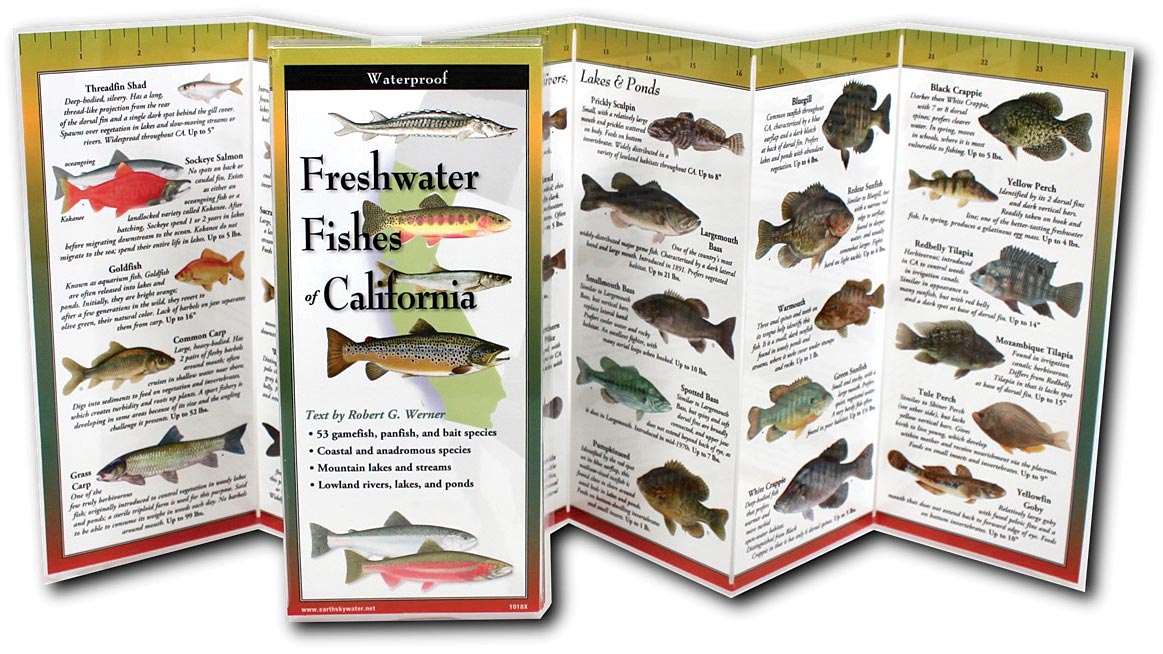 Folding Guide Fish California - RopesGear.com