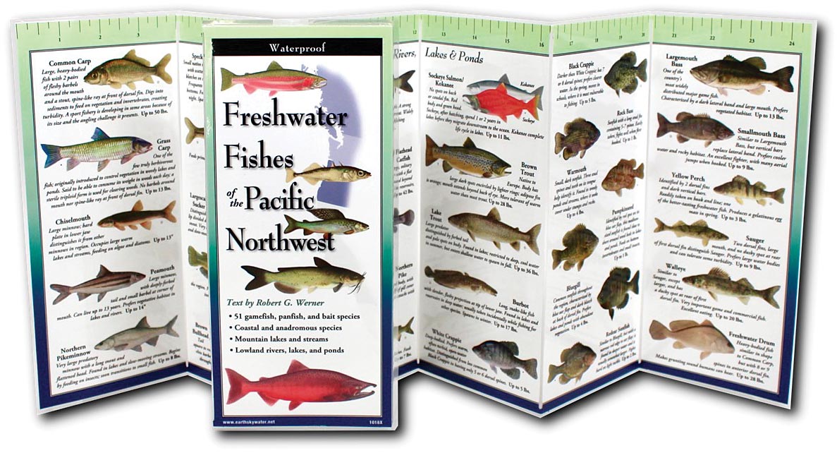 Folding Guide Fish Northwest - RopesGear.com