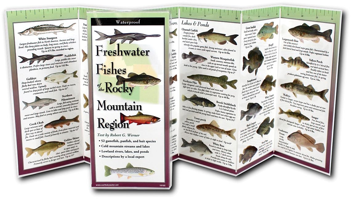 Folding Guide Fish Rocky Mtn - RopesGear.com