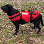 Kong DELPHINUS Dog Life Jacket - RopesGear.com
