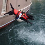 Kong DELPHINUS Dog Life Jacket - RopesGear.com