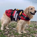 Kong DELPHINUS Dog Life Jacket - RopesGear.com