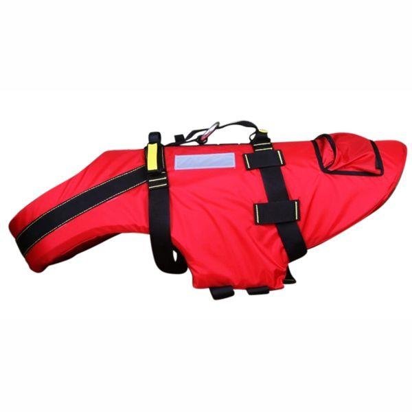 Kong DELPHINUS Dog Life Jacket - RopesGear.com