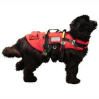 Kong DELPHINUS Dog Life Jacket - RopesGear.com