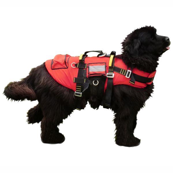 Kong DELPHINUS Dog Life Jacket - RopesGear.com