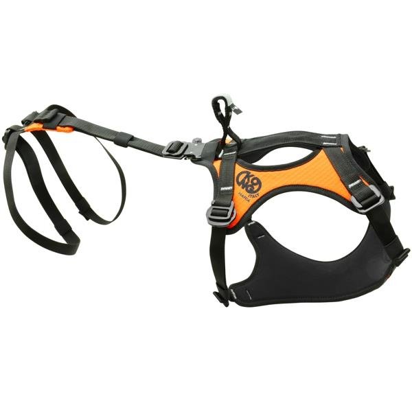 Kong Haria - RopesGear.com