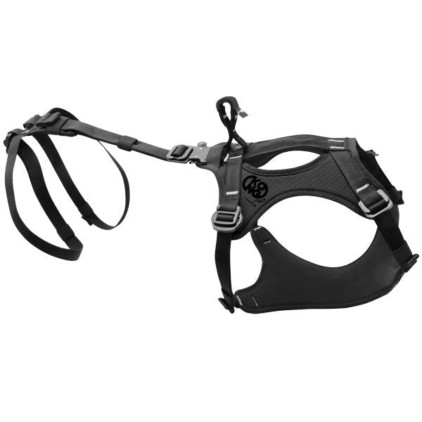 Kong Haria - RopesGear.com
