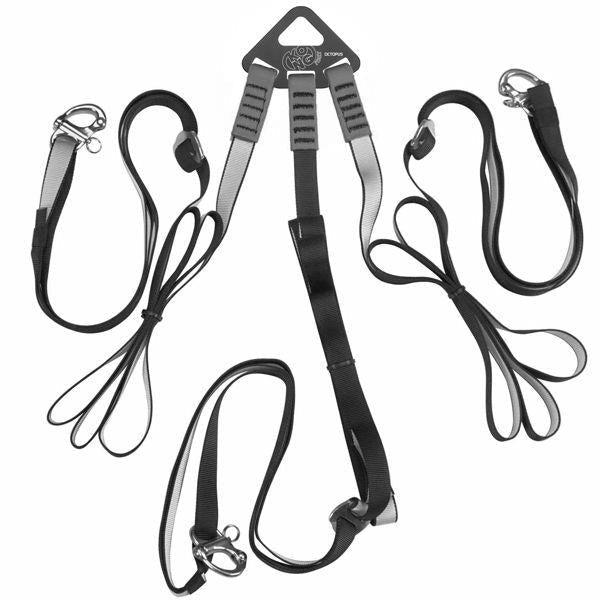 Kong Octopus - RopesGear.com