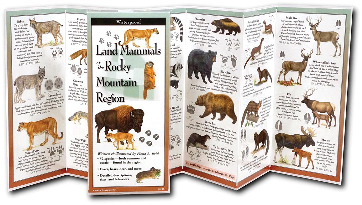 Mammals Of Rockies Guide - RopesGear.com