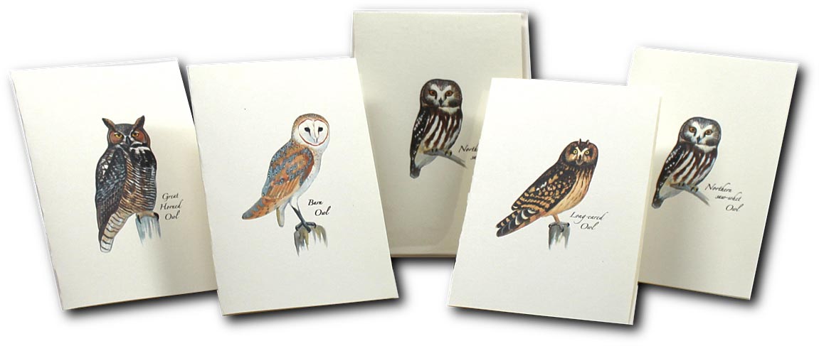 Owl Notecards - RopesGear.com