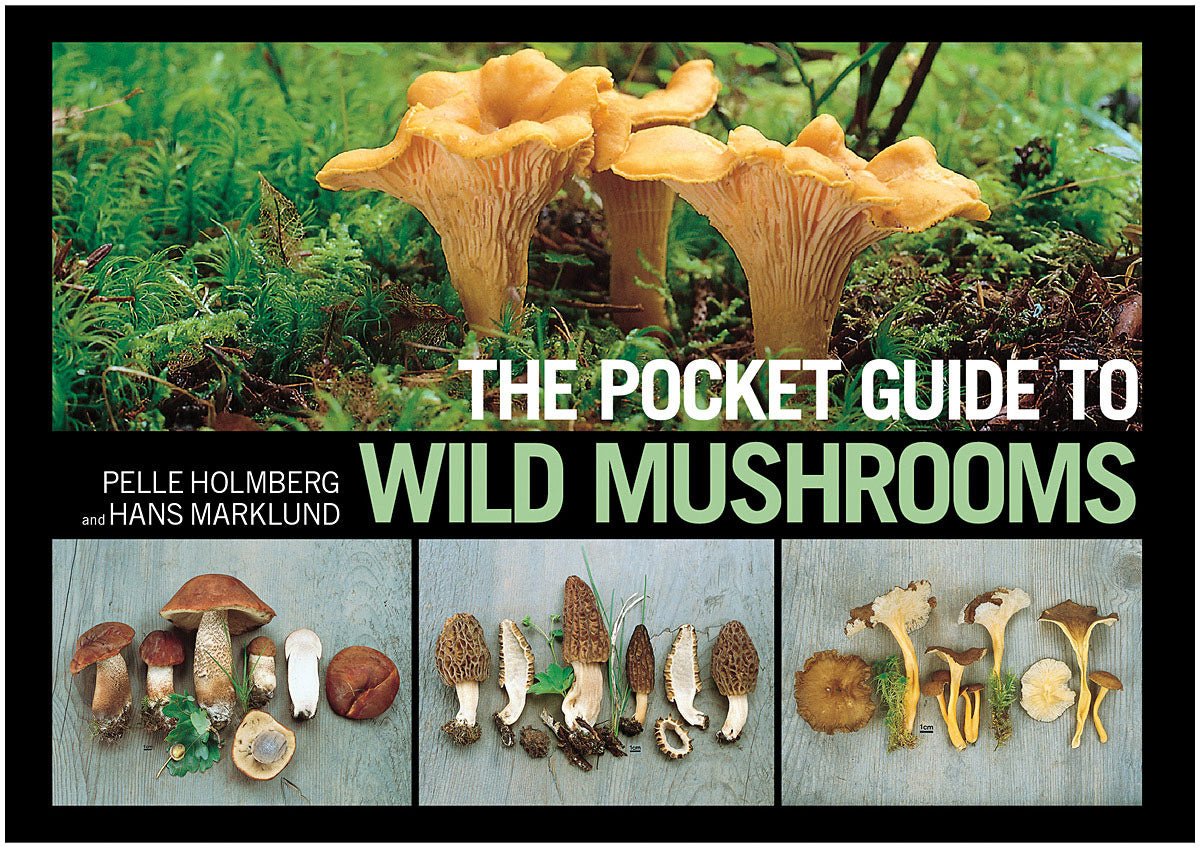 PO Cket Guide To Wild Mushrooms - RopesGear.com