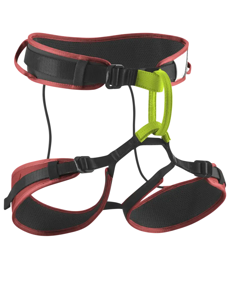 Edelrid ZACK GYM