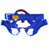 Headwall Universal Harness Blue